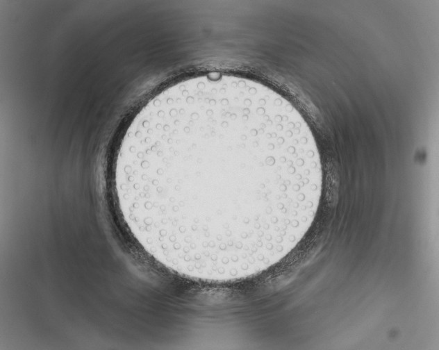 X0000116380631201001131809