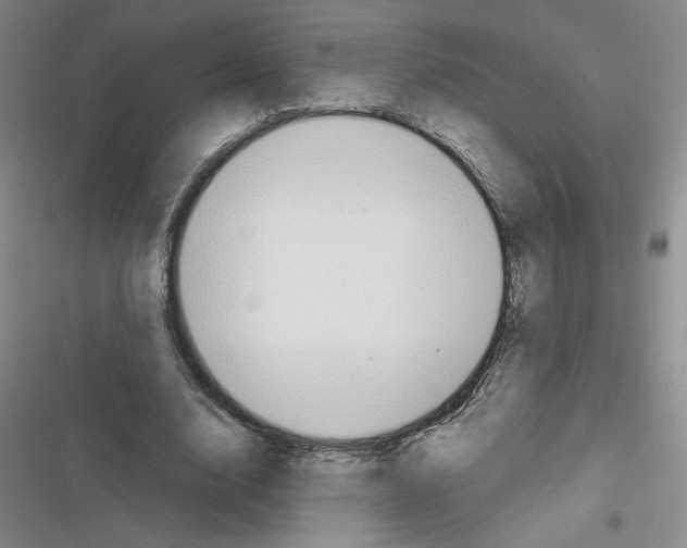 X0000116380632201001131809
