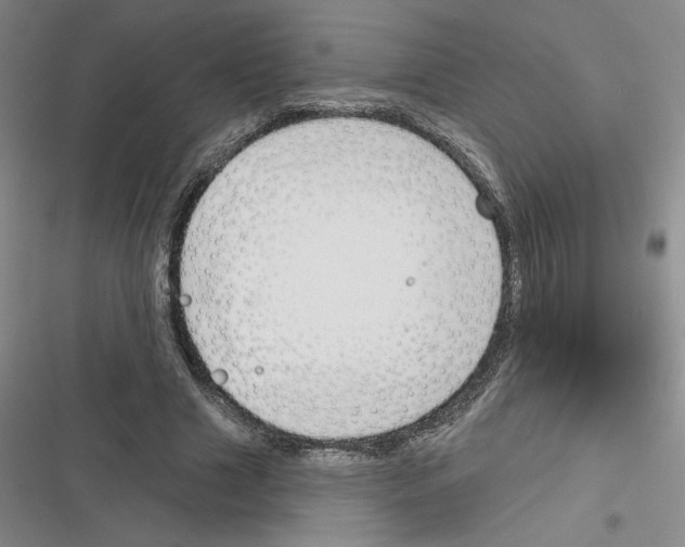 X0000116380633201001131809