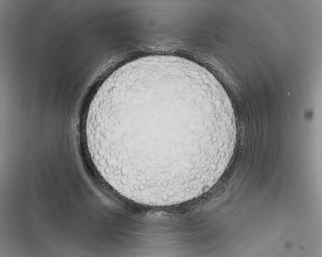 X0000116380634201001131809