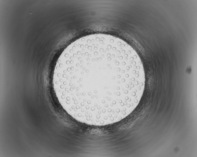 X0000116380635201001131809