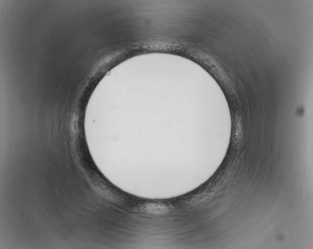 X0000116380636201001131809