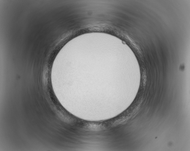 X0000116380637201001131809