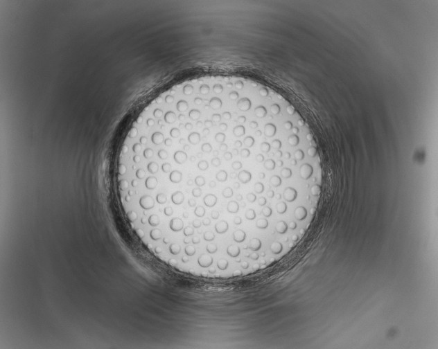X0000116380638201001131809