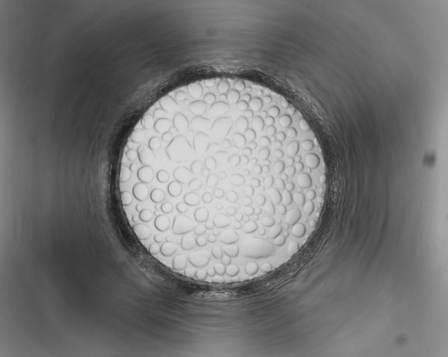 X0000116380639201001131809