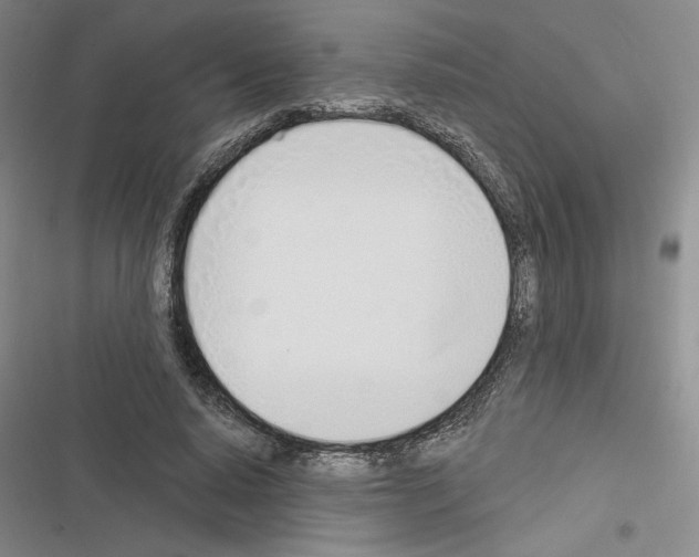 X0000116380640201001131809