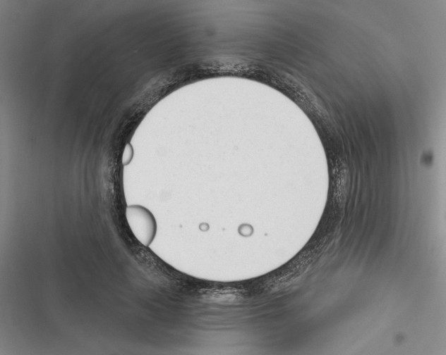 X0000116380643201001131809