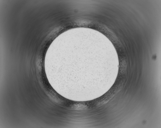 X0000116380644201001131809