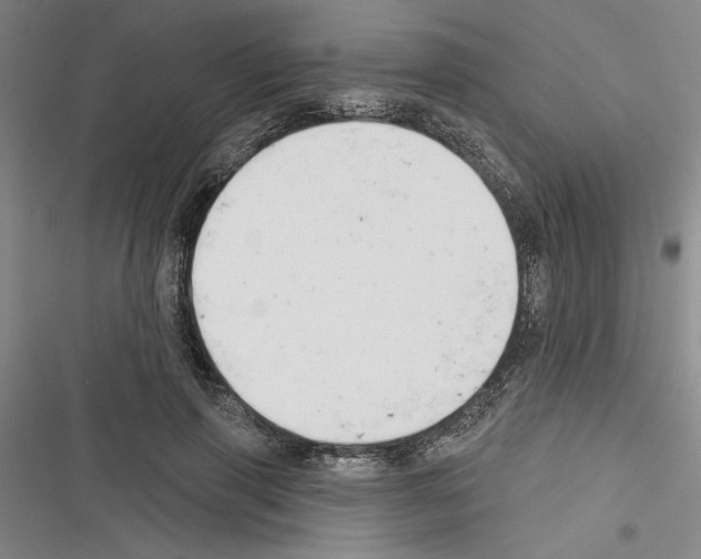 X0000116380645201001131809