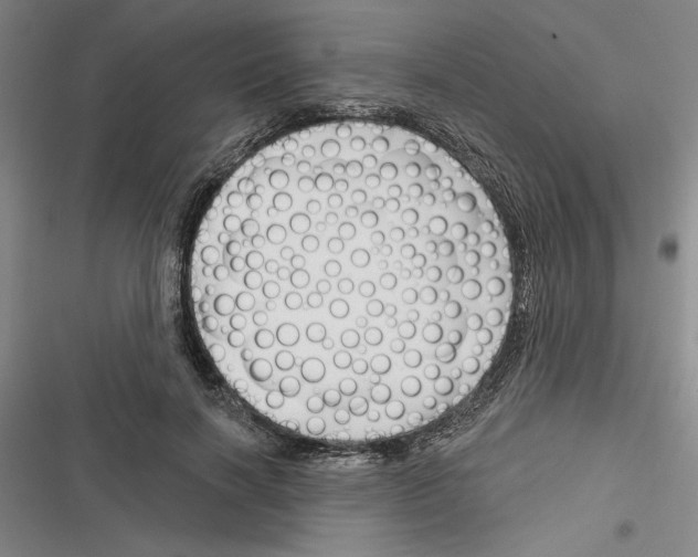 X0000116380646201001131809