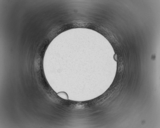X0000116380647201001131809