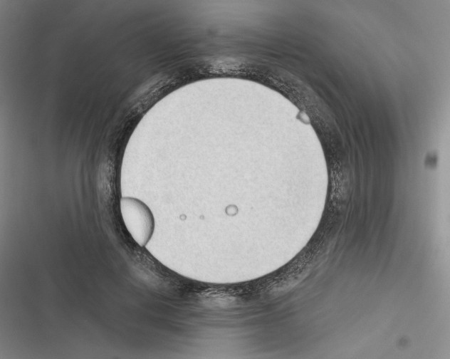 X0000116380648201001131809