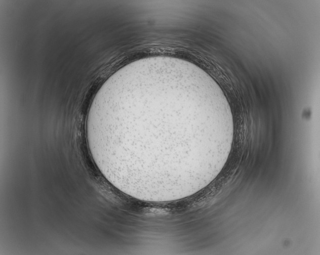 X0000116380649201001131809