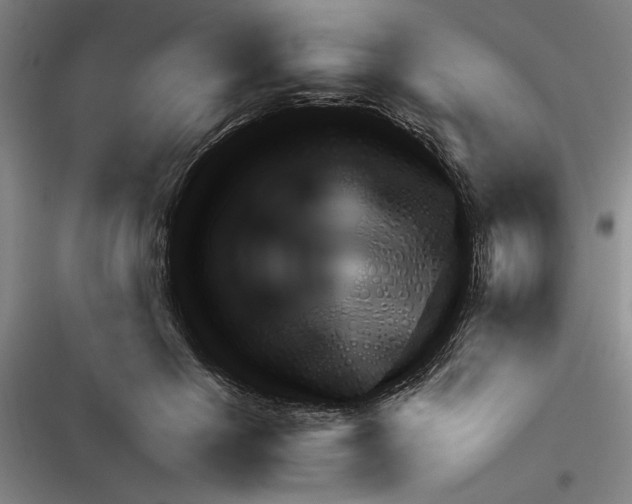 X0000116380650201001131809