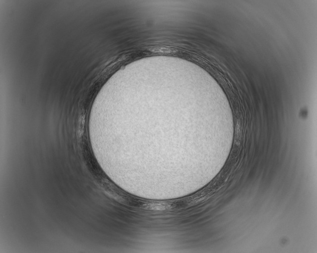 X0000116380652201001131809