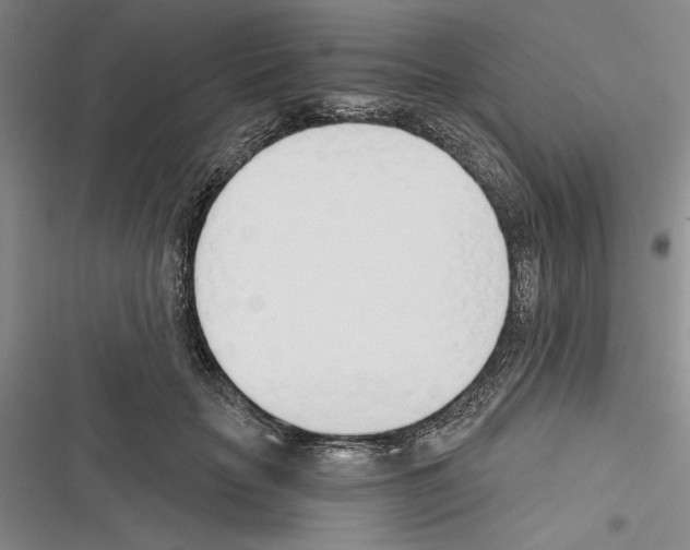 X0000116380653201001131809