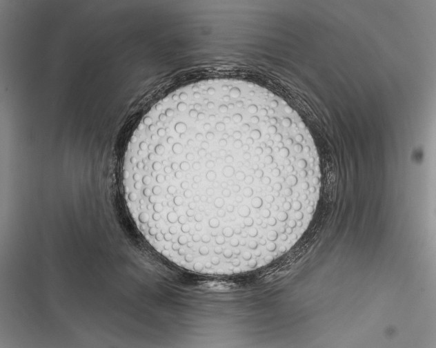 X0000116380654201001131809