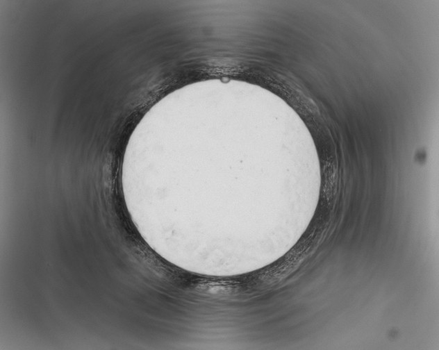 X0000116380655201001131809
