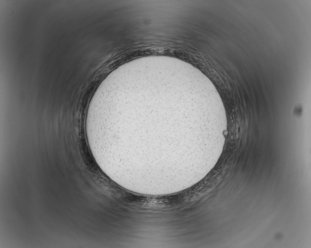 X0000116380656201001131809