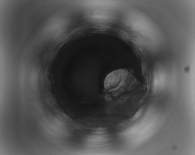 X0000116380657201001131809