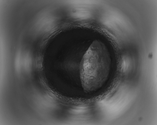 X0000116380658201001131809