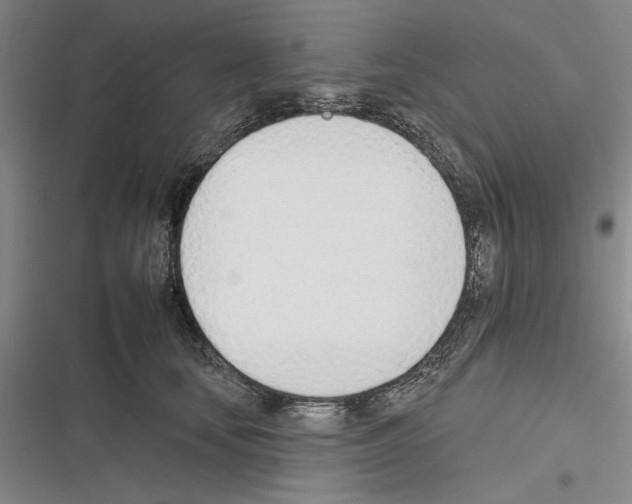 X0000116380659201001131809