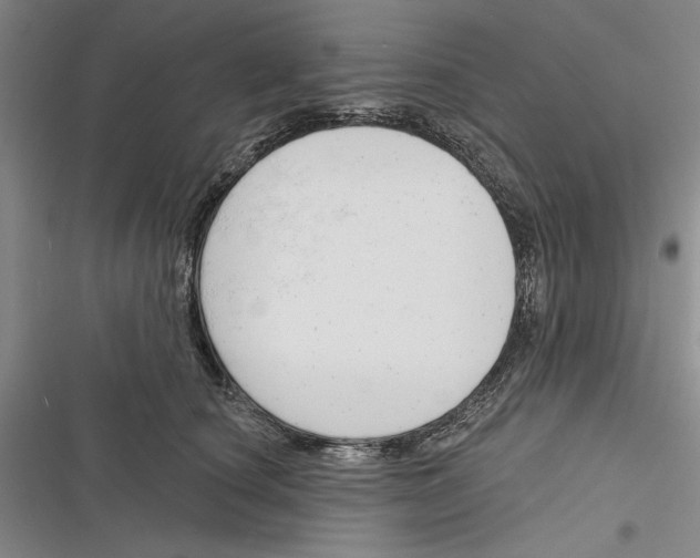 X0000116380660201001131809