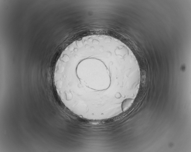 X0000116380662201001131809