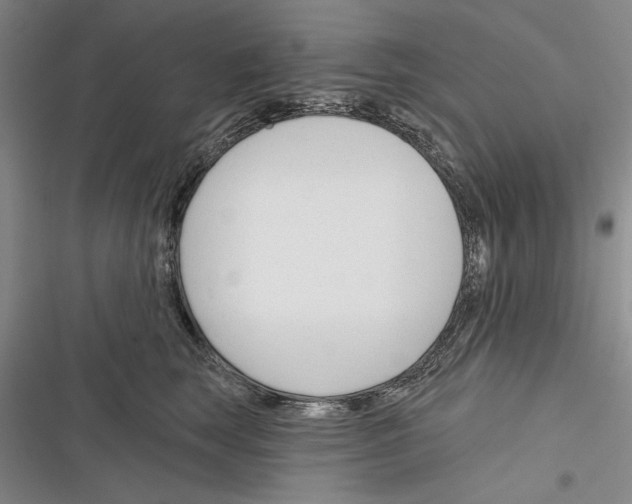 X0000116380663201001131809