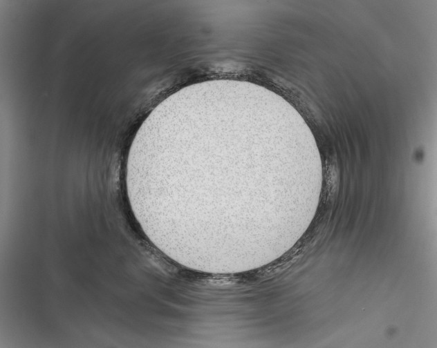 X0000116380668201001131809