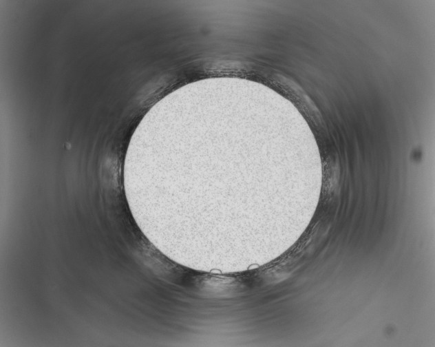 X0000116380669201001131809