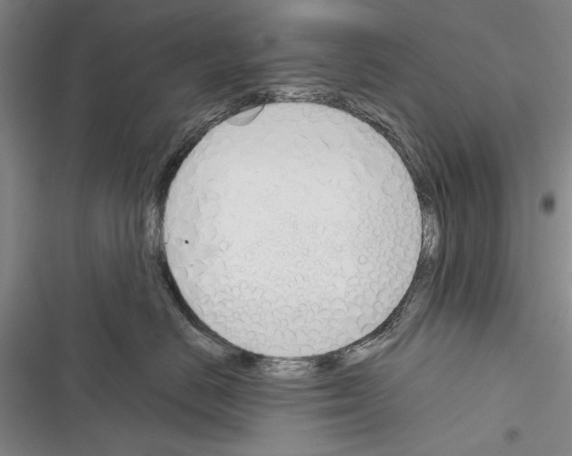 X0000116380670201001131809