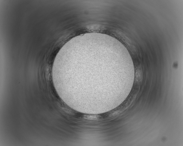 X0000116380671201001131810