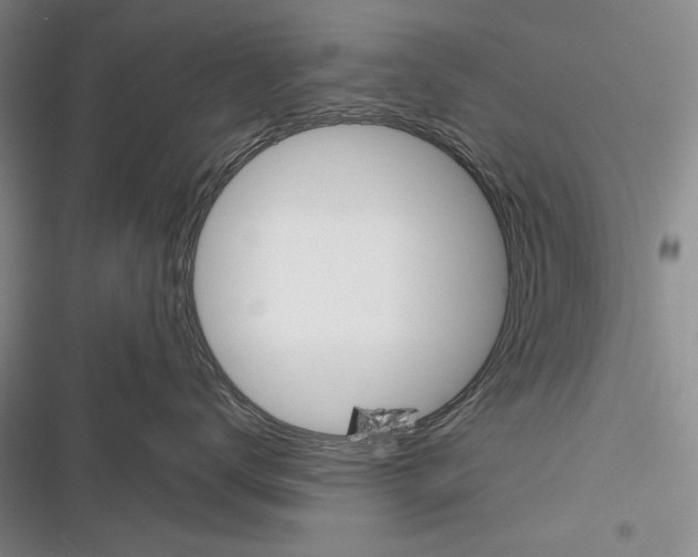X0000116380672201001131810