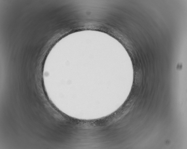 X0000116380673201001131809