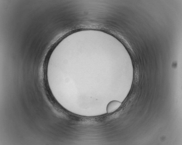 X0000116380674201001131809