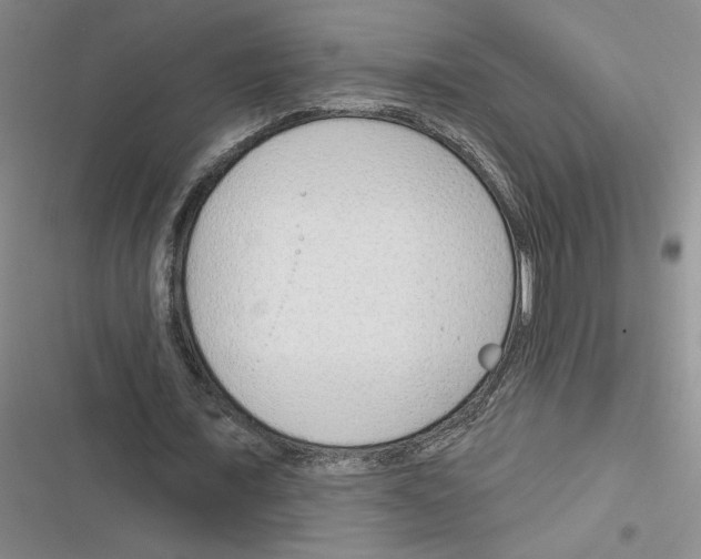 X0000116380675201001131809
