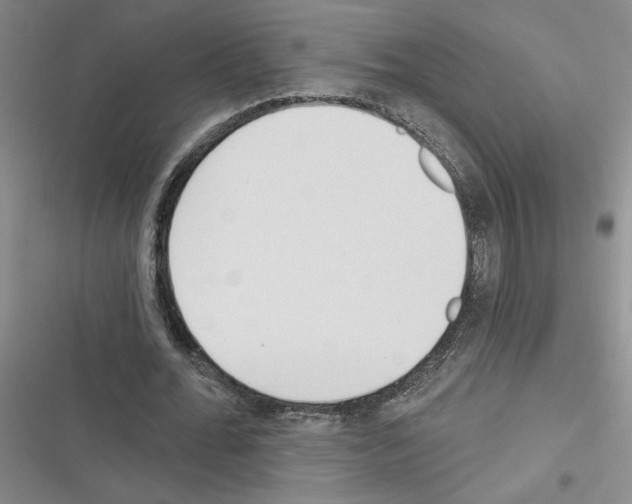 X0000116380676201001131809