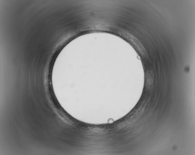 X0000116380677201001131809