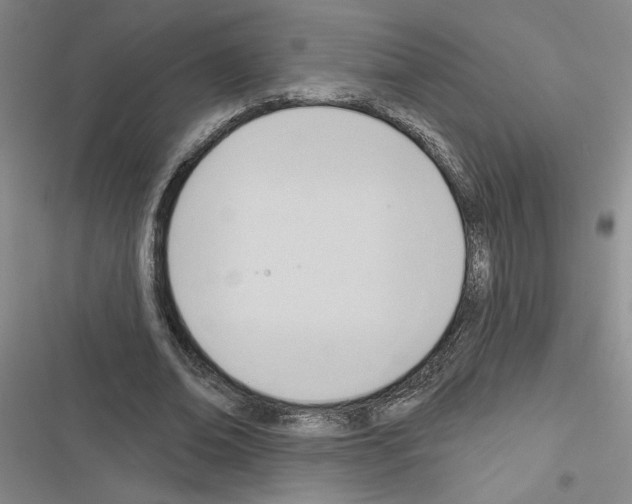 X0000116380678201001131809