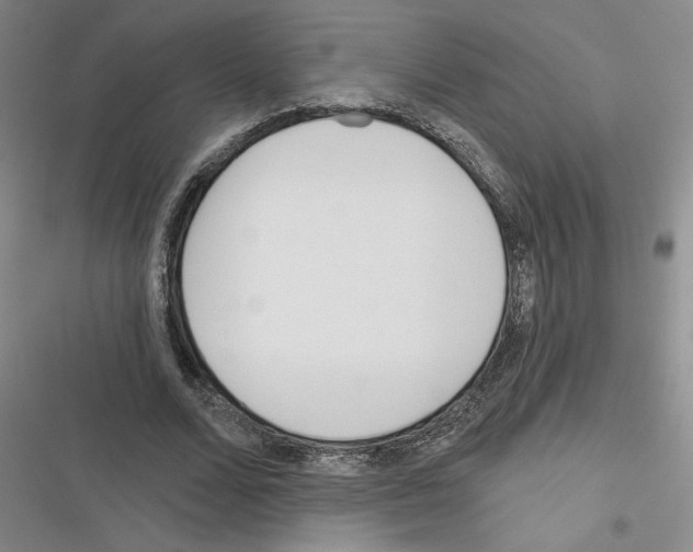 X0000116380680201001131809