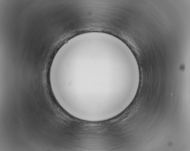 X0000116380681201001131809
