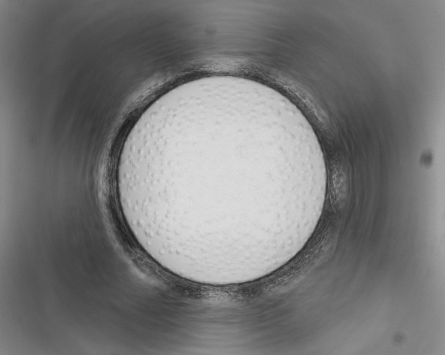 X0000116380682201001131809