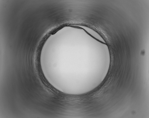 X0000116380684201001131809