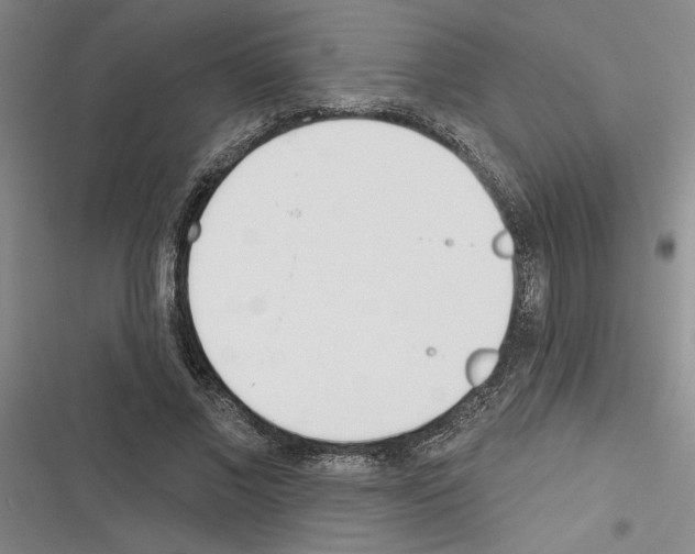 X0000116380685201001131809