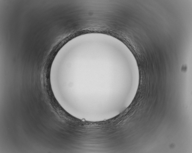 X0000116380688201001131809