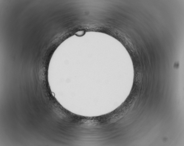X0000116380689201001131809