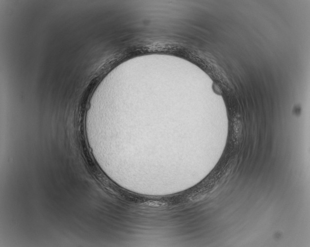 X0000116380691201001131809