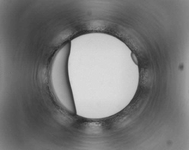 X0000116380692201001131809