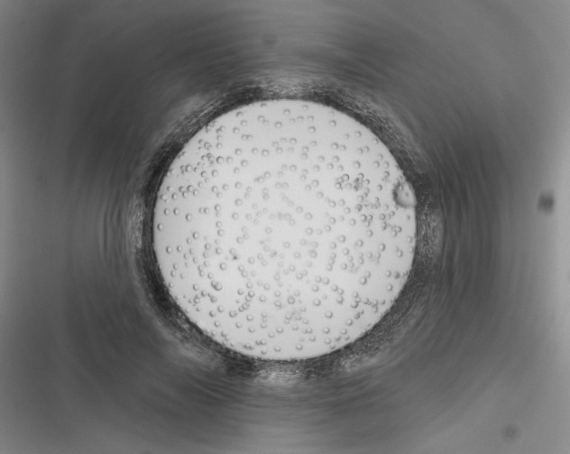 X0000116380694201001131809
